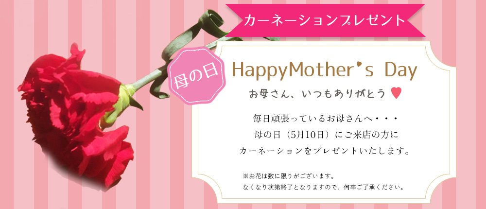 母の日限定カーネーションプレゼント